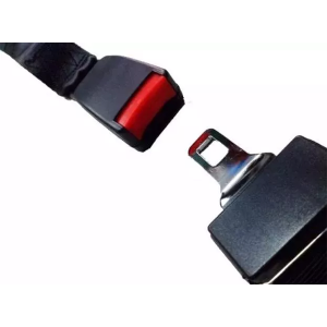 Juego de 2 Cinturones de Seguridad Delanteros 3 Puntas Homologados